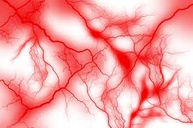 血管10-4