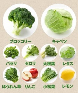 8種類の野菜